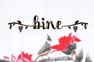 Bine: The Perfect Handwritten Font for Crafters