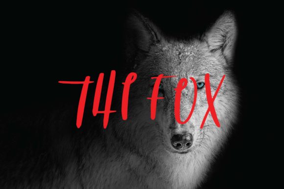 Discover The Fox: A Playful and Strong Script Font