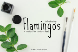 Flamingos: A Charming Script Font for Creative Makers