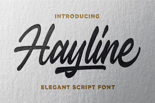 Transform Your Brand with Hayline: A Charming and Bold Font